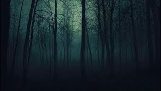 𝘮𝘢𝘯𝘪𝘧𝘦𝘴𝘵 𝘷𝘰𝘪𝘥 𝘚𝘵𝘪𝘭𝘦𝘴 𝘢𝘴 𝘢 𝘣𝘧 𝘴𝘶𝘣𝘭𝘪𝘮𝘪𝘯𝘢𝘭 (𝘵𝘦𝘦𝘯 𝘸𝘰𝘭𝘧 𝘴𝘶𝘣) screenshot 4