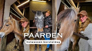 Volwassen BORSTELDAGEN op de PAARDENKAMP | VLOG #139 | Lifestylekimberley