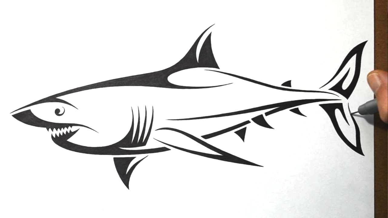 Great White Shark Drawings Tattoo