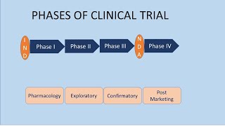 Clinical Trial Phases