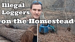 Illegal Loggers on the Homestead by The Neals' Homestead 242,159 views 1 year ago 4 minutes, 41 seconds