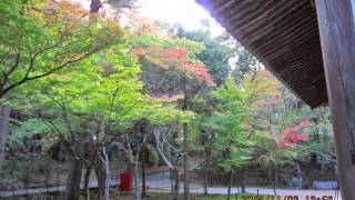 20141103 井山 宝福寺