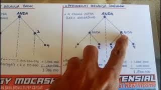 Perbedaan Hak Usaha Basic & Reguler Bisnis PT BEST