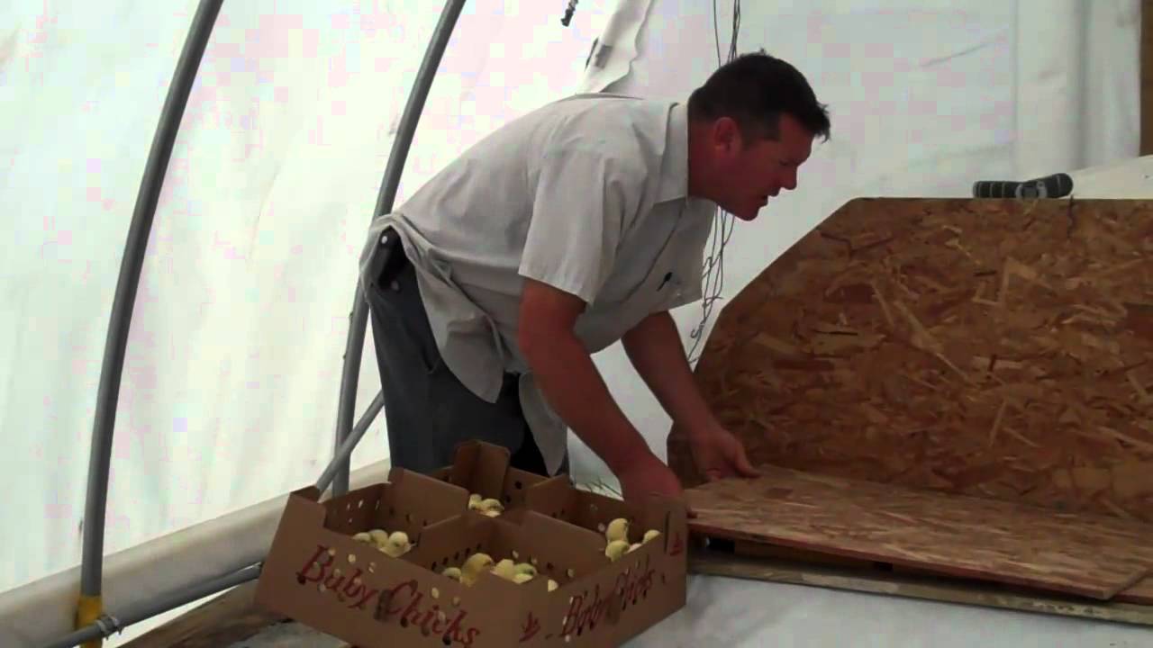 Bakers Green Acres Receiving Chicks YouTube