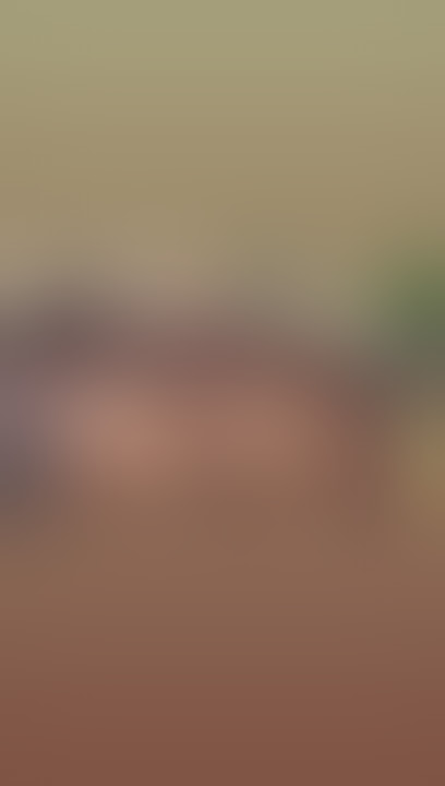 wamena Lembah baliem