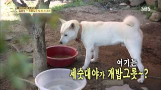 백년손님-자기야 131114 #43(8)