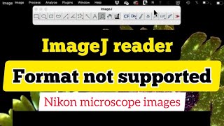 how to open Nikon microscope file with imageJ | how to view .nd images in ImageJ