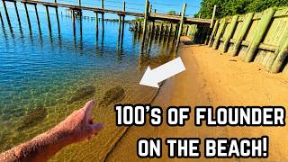 One Of The RAREST Events Ever Caught On Video!  *Mobile Bay Jubilee With Bonus Tripletail Action!*