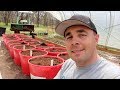 How to Build the BEST Self Wicking Containers! DIY Self Watering Tubs