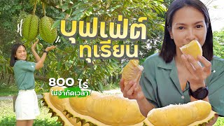 บุฟเฟ่ต์ทุเรียน ครั้งแรก!!!ในชีวิต 800ไร่ ไม่จำกัดเวลา…