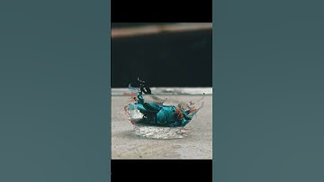 Before & After #shorts #filtervsco #lightroom #vsco