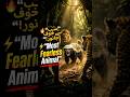 Most Fearless Animals on Earth 🐾 | سب سے بے خوف جانور