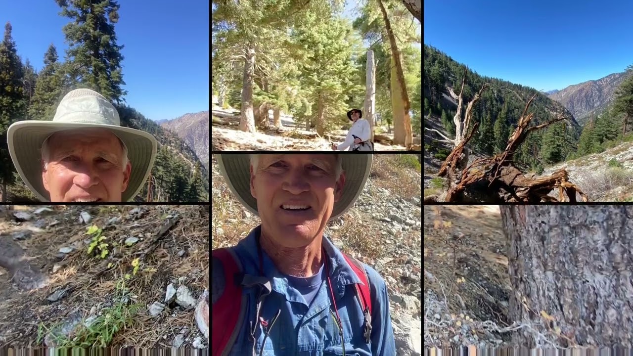 Autumn in Ice House Canyon - 2025 L