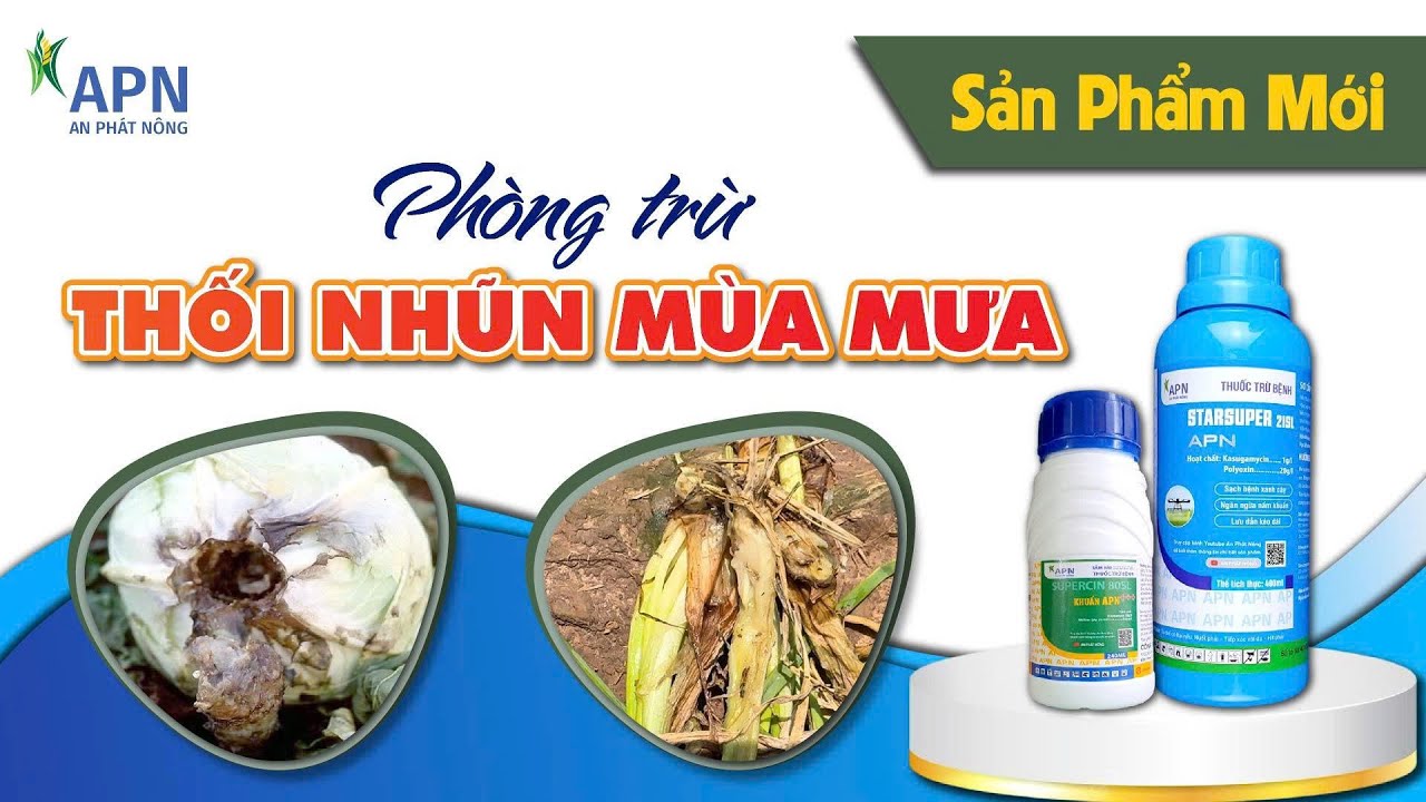 APN - Phòng trừ bệnh 