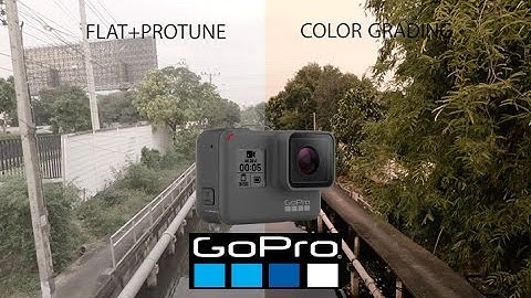 Gopro Hero 5 Black Protune Color Grading (First Test)