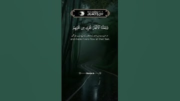 سورة الأنعام || #explore#duet #quranicvibes #islamicvideos #unfrezzmyaccount #duetwithkozmic #quran