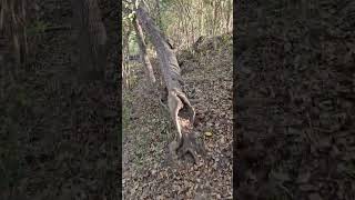 For Those Who Subscribe Invest In Salvage, Texas Manifesting, You Get To Come Stay One Day.