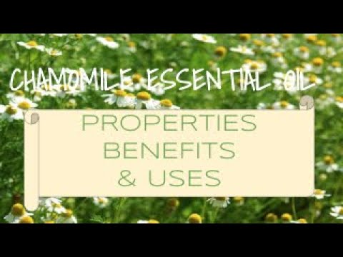 Chamomile Essential Oil - Benefits & Uses