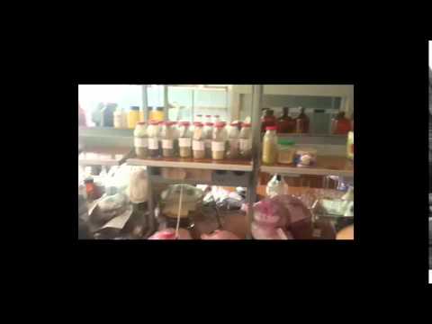 ნიკო კეცხოველის კვალდაკვალ