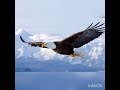 El Águila me dijo como Volar - Canto Medicina Rumbo del Mictlampa.