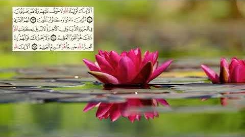 صفحة-216 page سعد الغامدي - -سورة يونس -10-Jonas) Yunus)