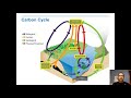 Cycles of Matter and Energy in Ecosystems