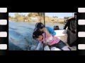 عشقك ندي محمد منير Nada Harpist عشقك ندي محمد منير Nada Harpist