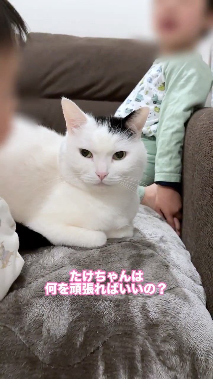 まつもとたける - YouTube