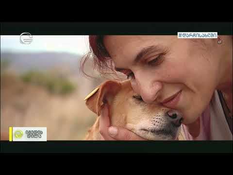 ცუფიკო მძიმე ისტორიითა და ბედნიერი დასასრულის მოლოდინში