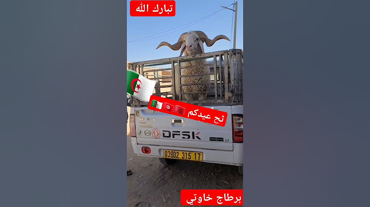 #اسواق #اكسبلور #ثمن #المواشي #تيك_توك #اسهم #أغنام #58wilaya #كباش_الجزائر_2024 #كبش_العيد #SRH