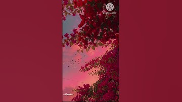 تلاوه هادئه ارح قلبك ( القارئ : اسلام صبحي ) القران الكريم ..🤲🏽🌺