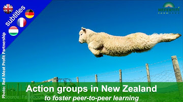 Action groups to foster peer to peer learning - Example of Red Meat Profit Partnership, New Zealand