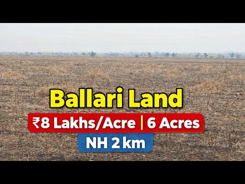Low Cost Farmland for Sale in #Ballari | ₹8 Lakhs per Acre | 6 acres | Karnataka Agriculture Land