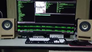 BRZHiFi SU10 AK4499EX DAC with BRZHiFi TPA3255x2 2.1 Channels