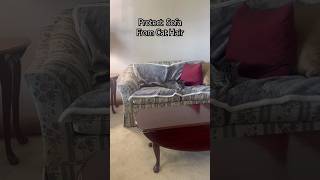 Protect Your Sofa From Cat Hair