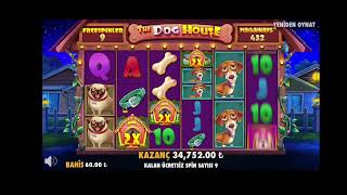 DOG HOUSE  REKOR KAZANC PATLLATTIK MI BU SEFER