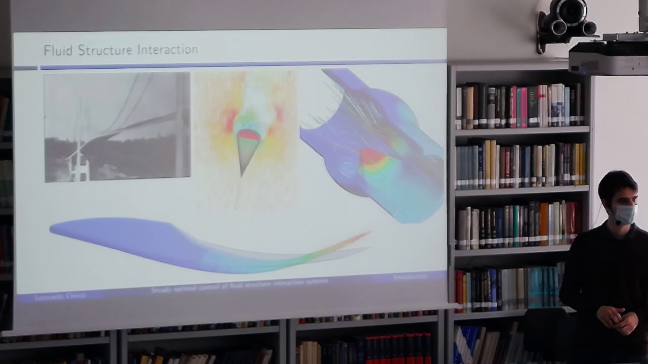 Leonardo Chirco (d'Alembert) - Steady optimal control of fluid structure interaction systems