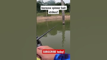 99% ppl use a spinner bait WRONG!! #basstournament #bassfishing #kayakfishing #fishingmethods #bass