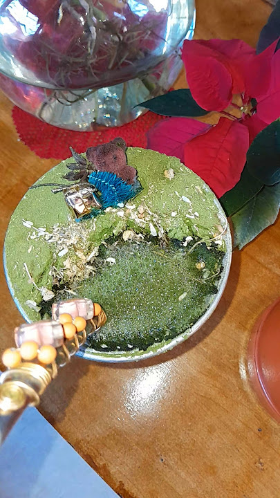 chimarrão lindo ❤️ e olha eles bob e luna fulientos 😅🤣😍😍 #shorts