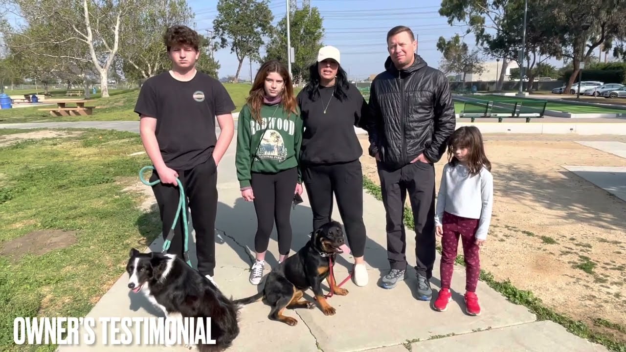 Beya | Rottweiler | Torrance, CA