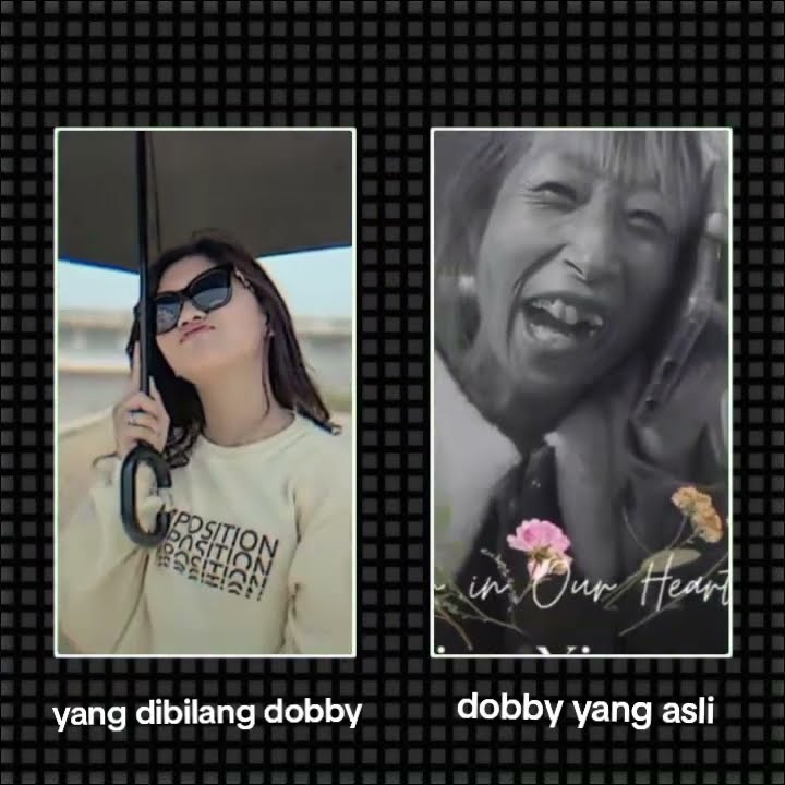 banyak banget yg bilang devi ama cantika di bilang dobby yg udh gw spil dobby yg asli nya 😊