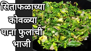 Youtube Var First Time सतफळचय कवळय पनफलच भज Pavsali Bhaji Ran Bhaji Recipe