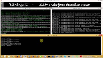 BitNinja demo -SSH brute force
