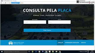 Como Consultar Placa de Veículo no Detran MG screenshot 2