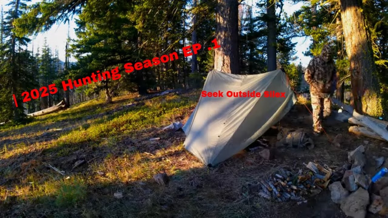 Backcountry Scouting | Black Bear | Mule Deer | 2025 Hunting Season |