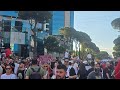 🔴 TIRANA ZIEN, ZBYTHET RAMA! Protesta masive, mijëra qytetarë ne shesh, bllokohen rrugët