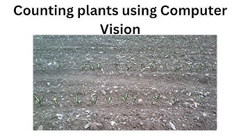 counting plants using Computer Vision