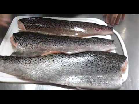 Vídeo: Como se chama um jovem salmão ou truta?