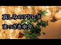 哀しみのアドレス まつざき幸介 カラオケ