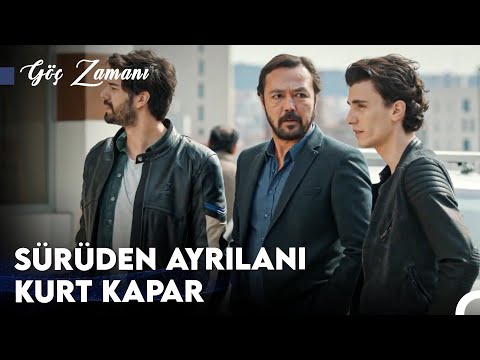 Usta Avcılar, Acemi Yavrulara Musallat Olurlar - Göç Zamanı
